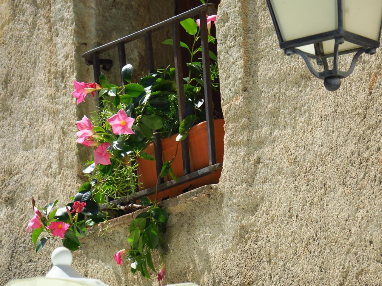La Taverne De L'Escuelle Saint-Guilhem-le-Desert Exterior photo
